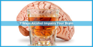 brain and alcoholic drink